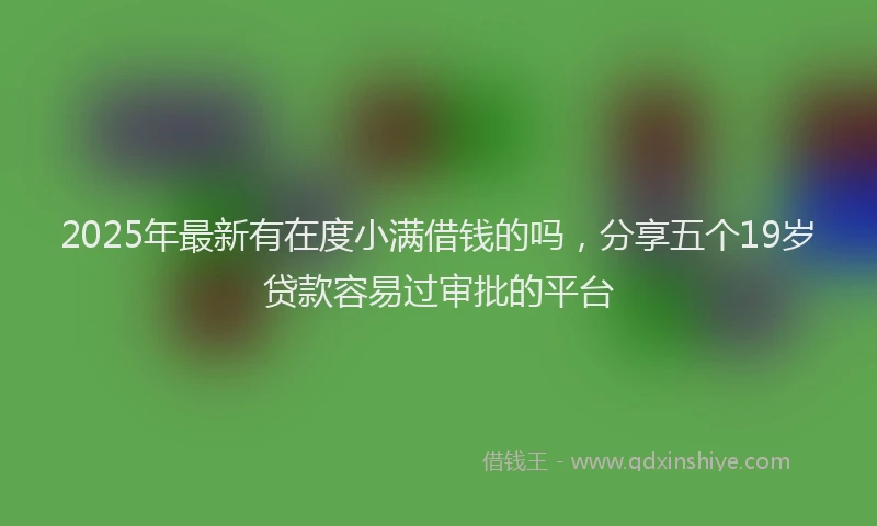 2025年最新有在度小满借钱的吗，分享五个19岁贷款容易过审批的平台