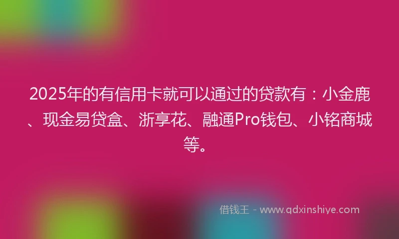 2025年的有信用卡就可以通过的贷款有：小金鹿、现金易贷盒、浙享花、融通Pro钱包、小铭商城等。