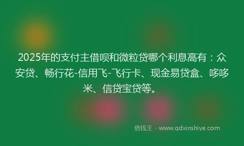 2025年的支付主借呗和微粒贷哪个利息高有：众安贷、畅行花-信用飞-飞行卡、现金易贷盒、哆哆米、信贷宝贷等。