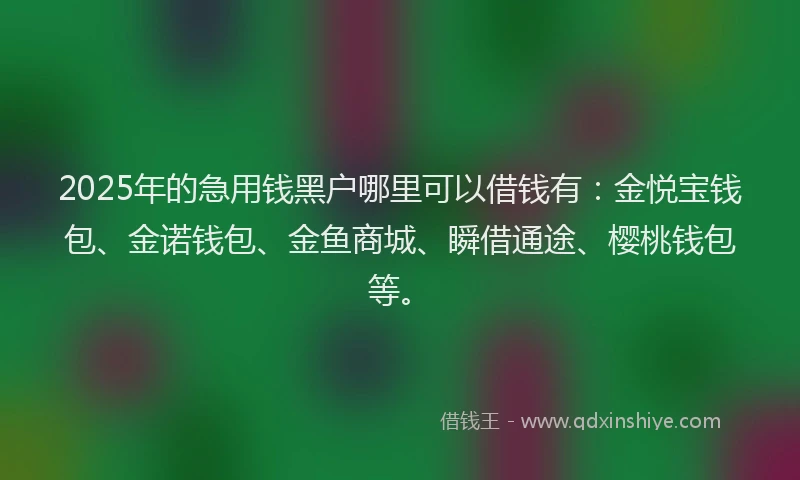 2025年的急用钱黑户哪里可以借钱有：金悦宝钱包、金诺钱包、金鱼商城、瞬借通途、樱桃钱包等。