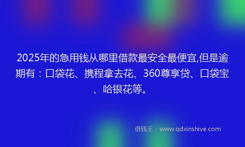 2025年的急用钱从哪里借款最安全最便宜,但是逾期有：口袋花、携程拿去花、360尊享贷、口袋宝、哈银花等。