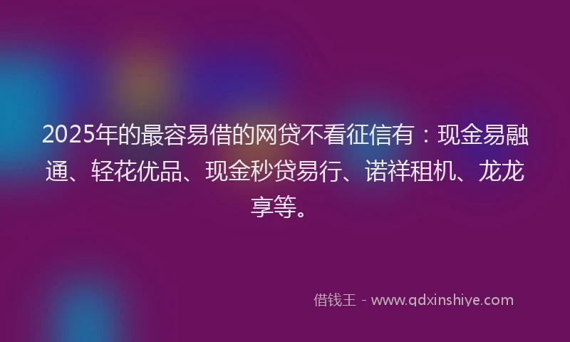 2025年的最容易借的网贷不看征信有：现金易融通、轻花优品、现金秒贷易行、诺祥租机、龙龙享等。