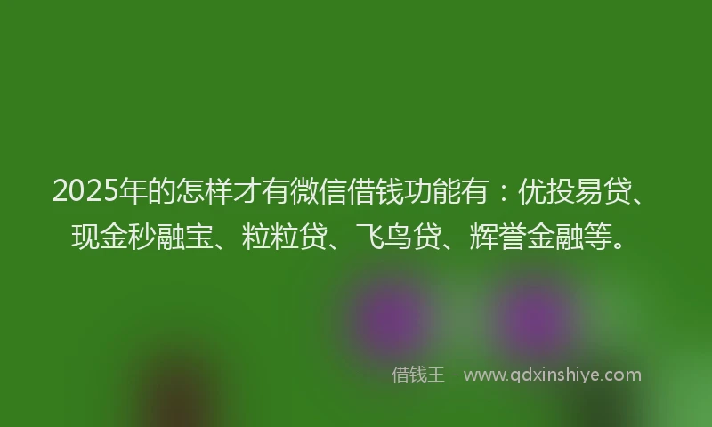 2025年的怎样才有微信借钱功能有：优投易贷、现金秒融宝、粒粒贷、飞鸟贷、辉誉金融等。
