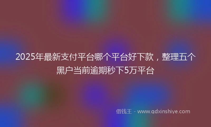 2025年最新支付平台哪个平台好下款，整理五个黑户当前逾期秒下5万平台