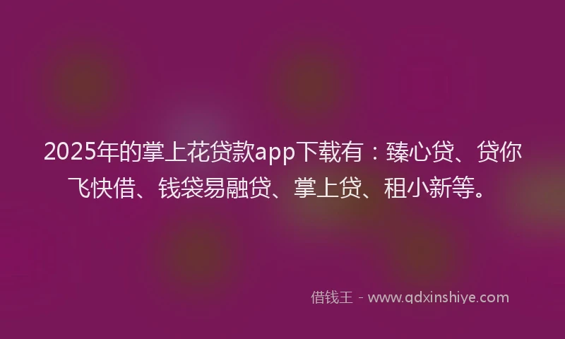2025年的掌上花贷款app下载有：臻心贷、贷你飞快借、钱袋易融贷、掌上贷、租小新等。