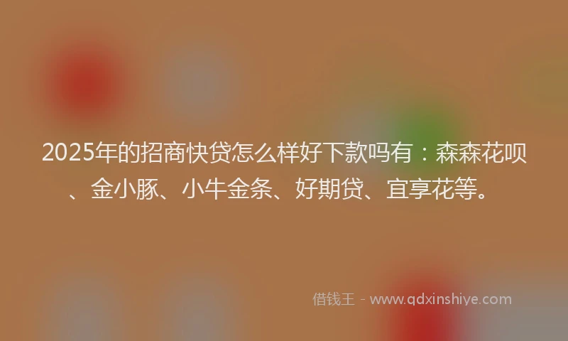 2025年的招商快贷怎么样好下款吗有：森森花呗、金小豚、小牛金条、好期贷、宜享花等。