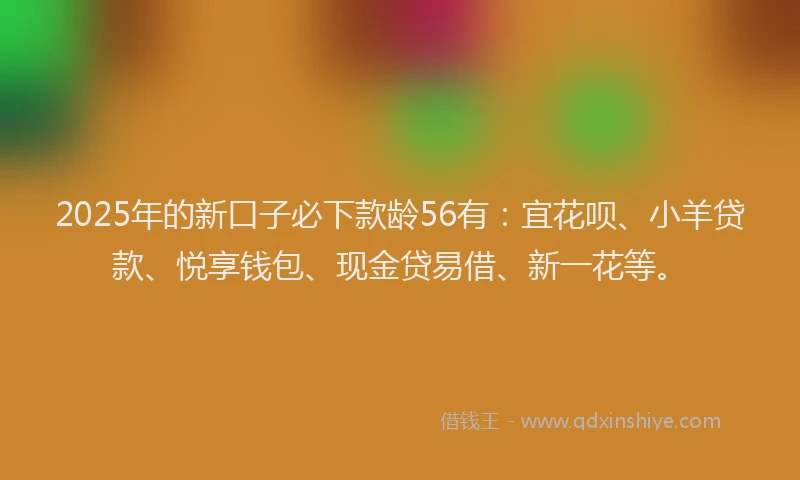 2025年的新口子必下款龄56有：宜花呗、小羊贷款、悦享钱包、现金贷易借、新一花等。