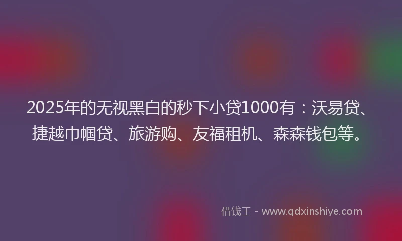 2025年的无视黑白的秒下小贷1000有：沃易贷、捷越巾帼贷、旅游购、友福租机、森森钱包等。