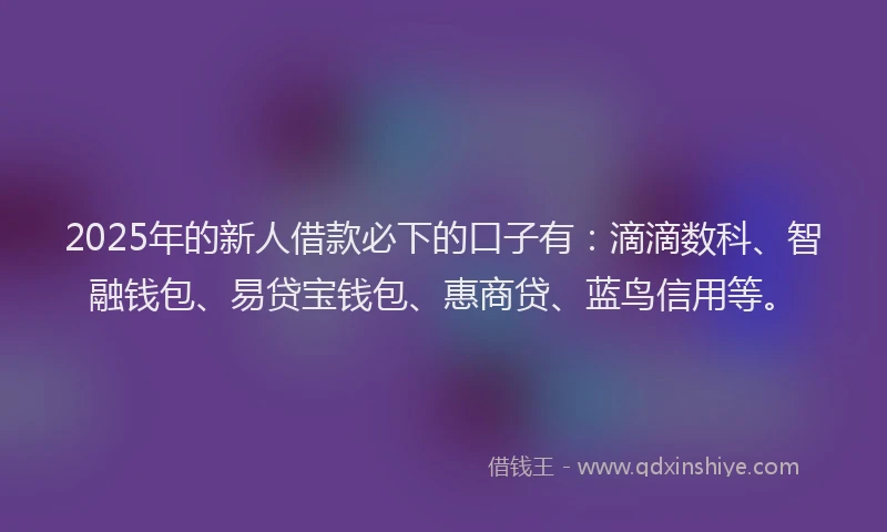 2025年的新人借款必下的口子有：滴滴数科、智融钱包、易贷宝钱包、惠商贷、蓝鸟信用等。