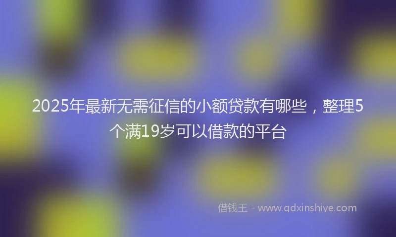 2025年最新无需征信的小额贷款有哪些，整理5个满19岁可以借款的平台