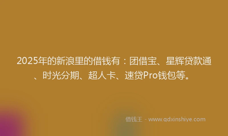 2025年的新浪里的借钱有：团借宝、星辉贷款通、时光分期、超人卡、速贷Pro钱包等。