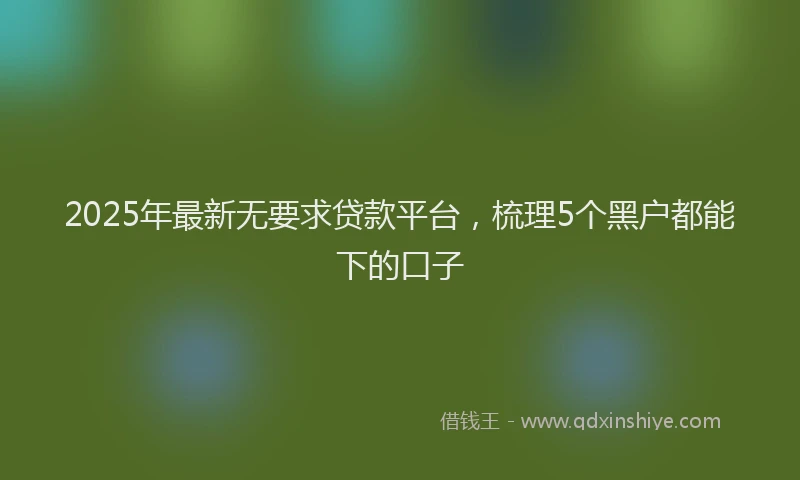 2025年最新无要求贷款平台，梳理5个黑户都能下的口子