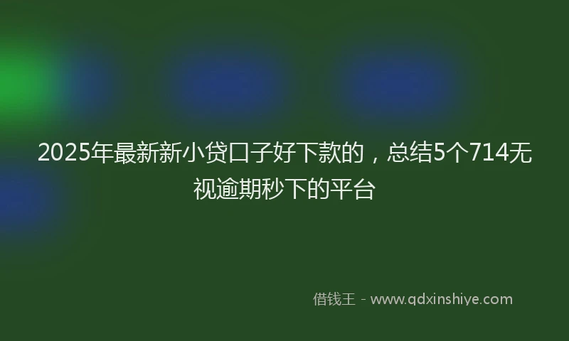 2025年最新新小贷口子好下款的，总结5个714无视逾期秒下的平台