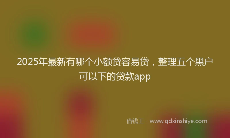 2025年最新有哪个小额贷容易贷，整理五个黑户可以下的贷款app