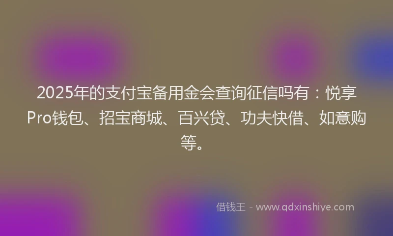 2025年的支付宝备用金会查询征信吗有：悦享Pro钱包、招宝商城、百兴贷、功夫快借、如意购等。