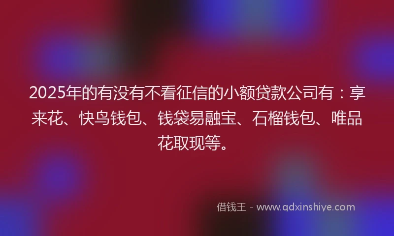2025年的有没有不看征信的小额贷款公司有：享来花、快鸟钱包、钱袋易融宝、石榴钱包、唯品花取现等。