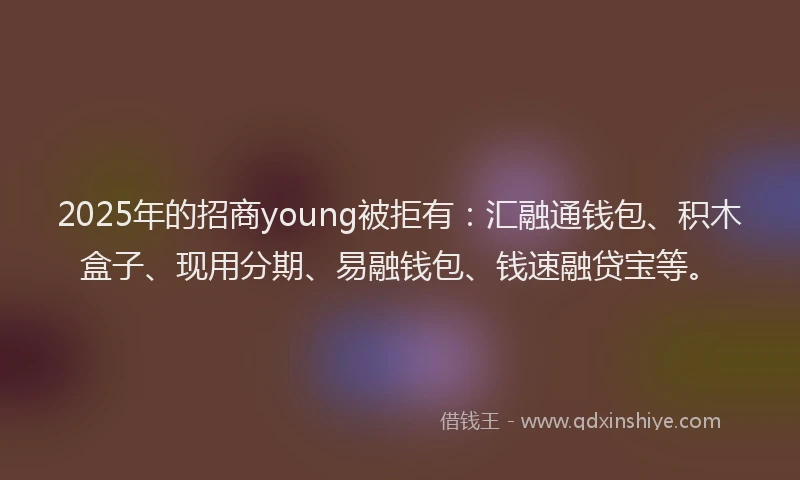 2025年的招商young被拒有：汇融通钱包、积木盒子、现用分期、易融钱包、钱速融贷宝等。