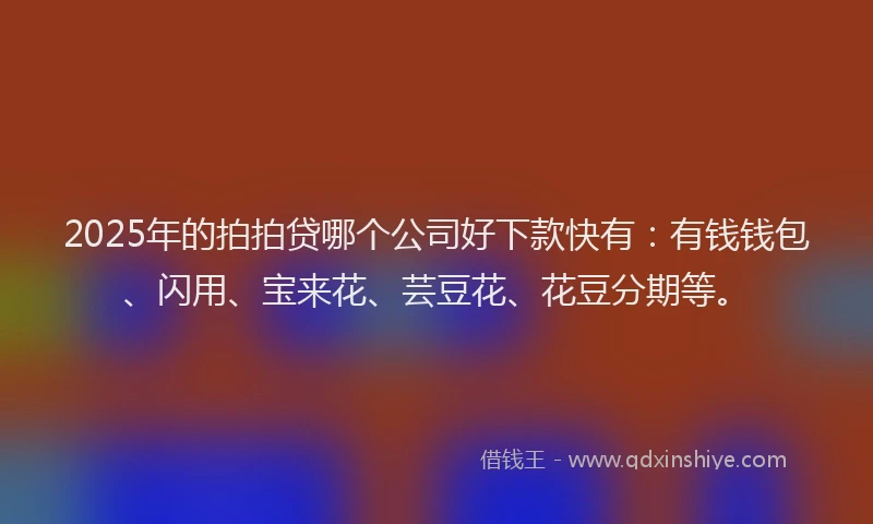 2025年的拍拍贷哪个公司好下款快有：有钱钱包、闪用、宝来花、芸豆花、花豆分期等。