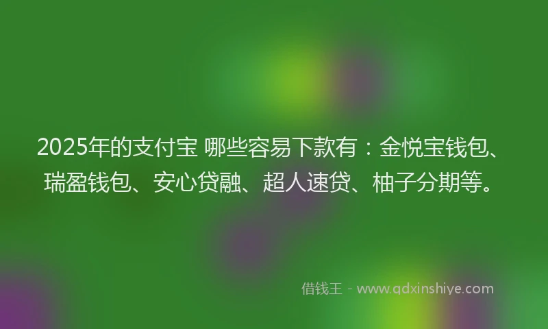 2025年的支付宝 哪些容易下款有：金悦宝钱包、瑞盈钱包、安心贷融、超人速贷、柚子分期等。