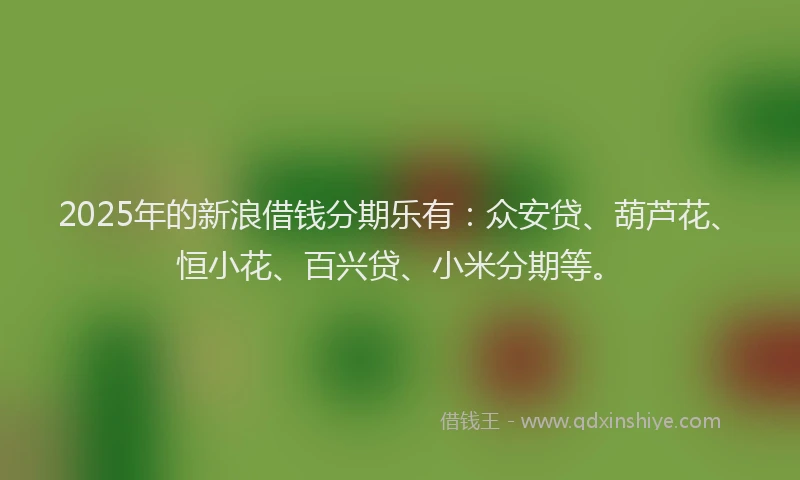2025年的新浪借钱分期乐有：众安贷、葫芦花、恒小花、百兴贷、小米分期等。