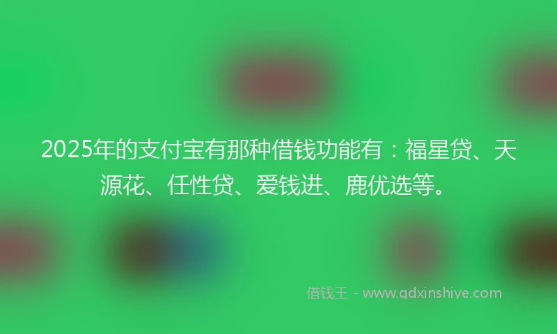 2025年的支付宝有那种借钱功能有：福星贷、天源花、任性贷、爱钱进、鹿优选等。