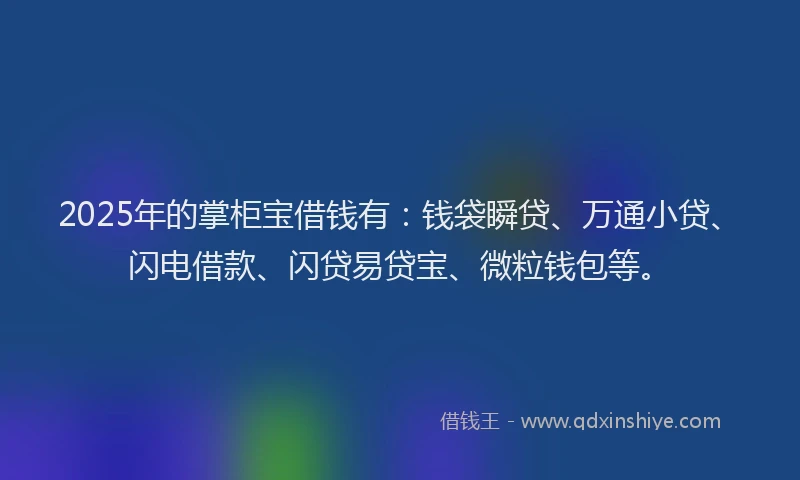 2025年的掌柜宝借钱有：钱袋瞬贷、万通小贷、闪电借款、闪贷易贷宝、微粒钱包等。