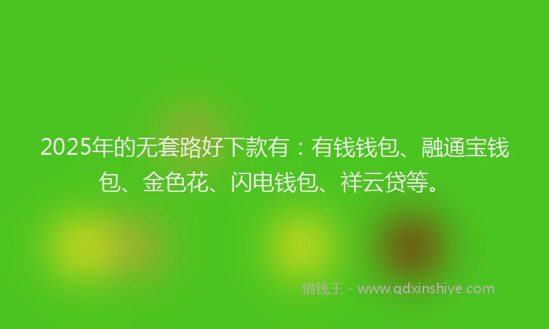 2025年的无套路好下款有：有钱钱包、融通宝钱包、金色花、闪电钱包、祥云贷等。