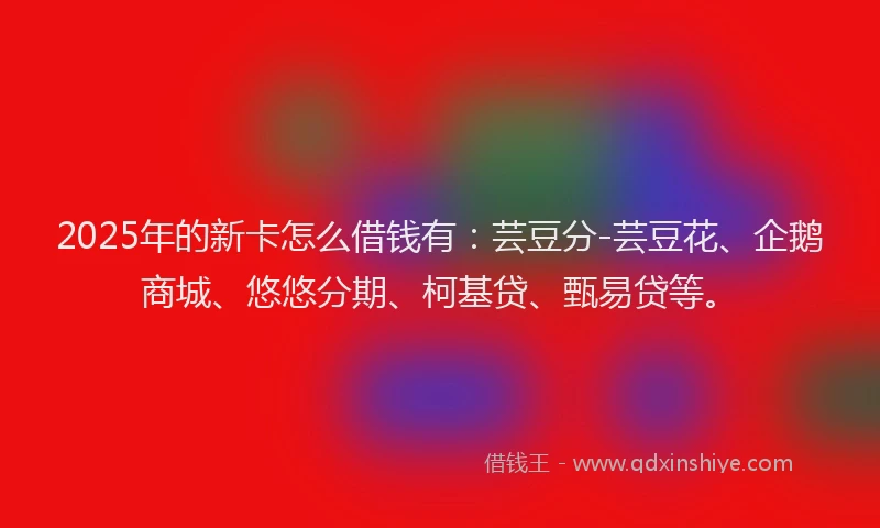 2025年的新卡怎么借钱有：芸豆分-芸豆花、企鹅商城、悠悠分期、柯基贷、甄易贷等。