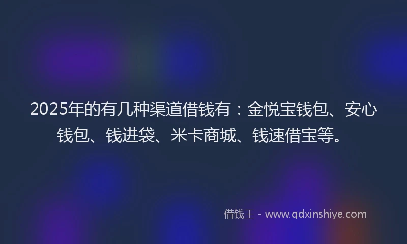 2025年的有几种渠道借钱有：金悦宝钱包、安心钱包、钱进袋、米卡商城、钱速借宝等。