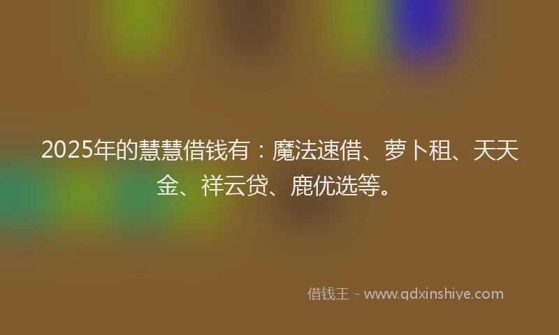 2025年的慧慧借钱有：魔法速借、萝卜租、天天金、祥云贷、鹿优选等。