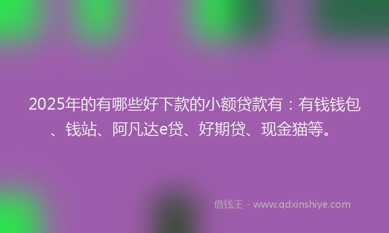 2025年的有哪些好下款的小额贷款有：有钱钱包、钱站、阿凡达e贷、好期贷、现金猫等。