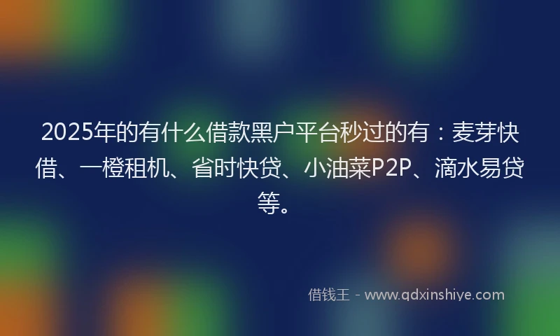 2025年的有什么借款黑户平台秒过的有：麦芽快借、一橙租机、省时快贷、小油菜P2P、滴水易贷等。