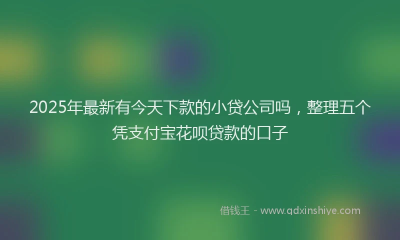 2025年最新有今天下款的小贷公司吗，整理五个凭支付宝花呗贷款的口子