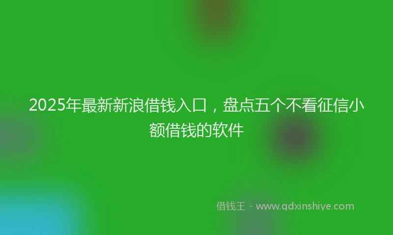 2025年最新新浪借钱入口，盘点五个不看征信小额借钱的软件