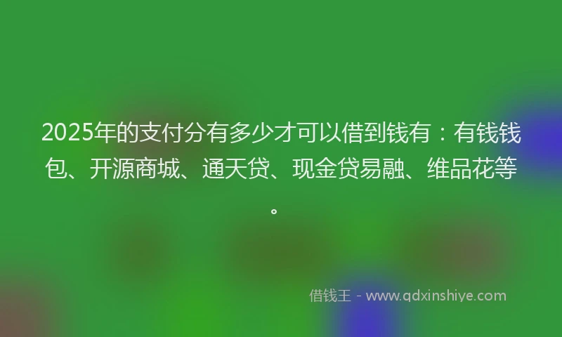 2025年的支付分有多少才可以借到钱有：有钱钱包、开源商城、通天贷、现金贷易融、维品花等。