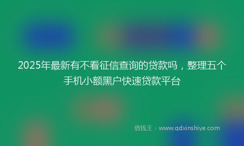 2025年最新有不看征信查询的贷款吗，整理五个手机小额黑户快速贷款平台