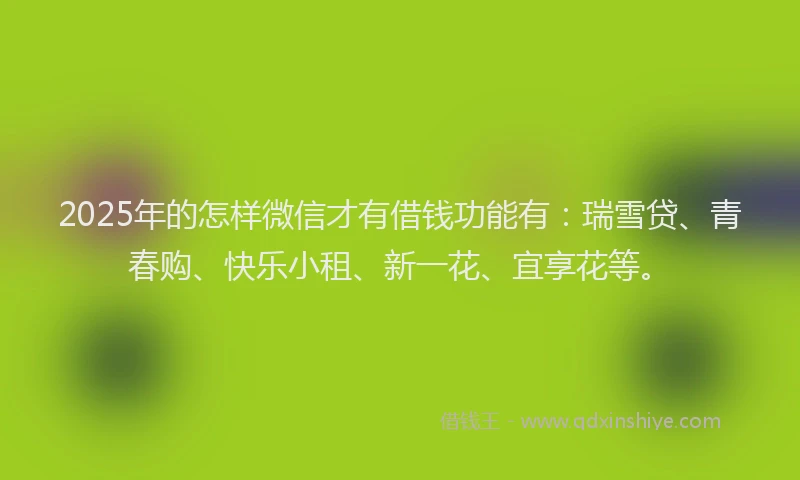 2025年的怎样微信才有借钱功能有：瑞雪贷、青春购、快乐小租、新一花、宜享花等。
