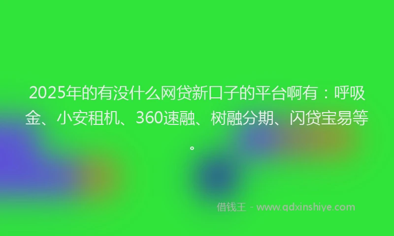 2025年的有没什么网贷新口子的平台啊有：呼吸金、小安租机、360速融、树融分期、闪贷宝易等。