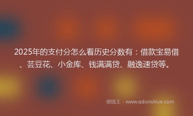 2025年的支付分怎么看历史分数有：借款宝易借、芸豆花、小金库、钱满满贷、融逸速贷等。