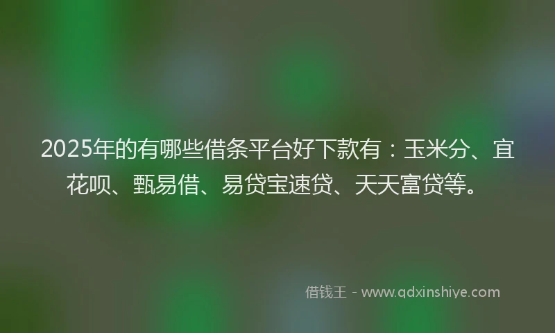 2025年的有哪些借条平台好下款有：玉米分、宜花呗、甄易借、易贷宝速贷、天天富贷等。