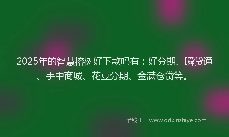 2025年的智慧榕树好下款吗有：好分期、瞬贷通、手中商城、花豆分期、金满仓贷等。
