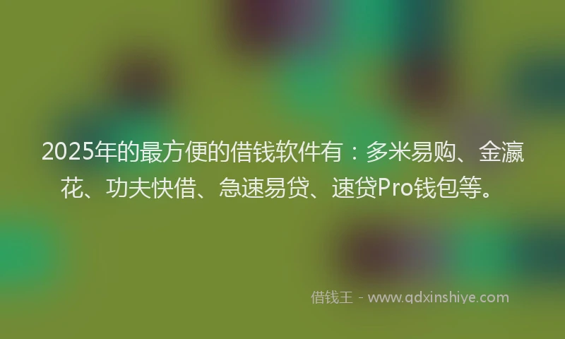 2025年的最方便的借钱软件有：多米易购、金瀛花、功夫快借、急速易贷、速贷Pro钱包等。