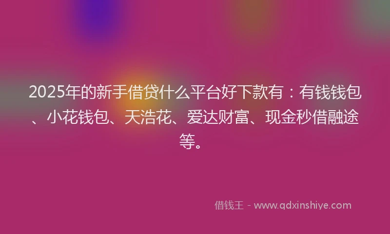 2025年的新手借贷什么平台好下款有：有钱钱包、小花钱包、天浩花、爱达财富、现金秒借融途等。