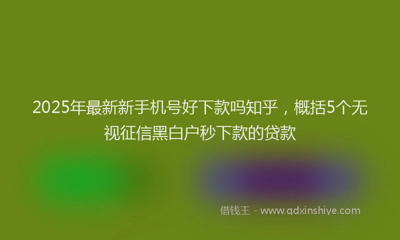 2025年最新新手机号好下款吗知乎，概括5个无视征信黑白户秒下款的贷款