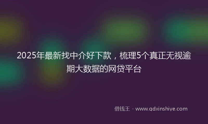 2025年最新找中介好下款，梳理5个真正无视逾期大数据的网贷平台