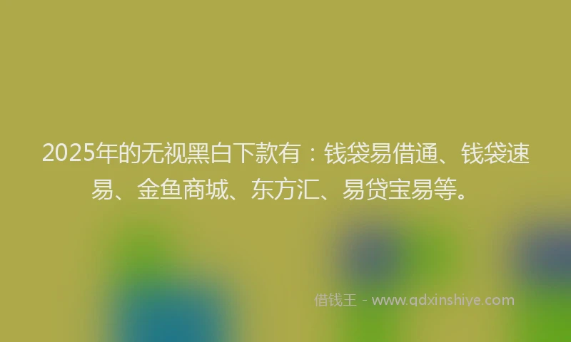 2025年的无视黑白下款有：钱袋易借通、钱袋速易、金鱼商城、东方汇、易贷宝易等。