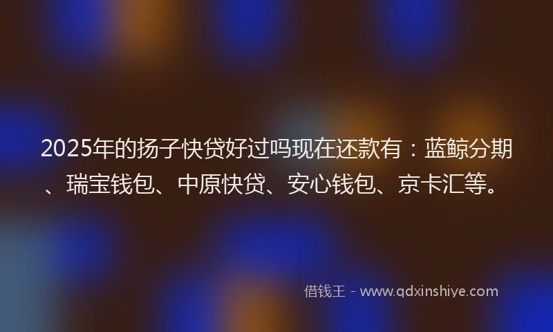 2025年的扬子快贷好过吗现在还款有：蓝鲸分期、瑞宝钱包、中原快贷、安心钱包、京卡汇等。
