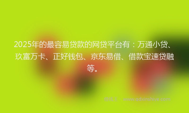 2025年的最容易贷款的网贷平台有：万通小贷、玖富万卡、正好钱包、京东易借、借款宝速贷融等。
