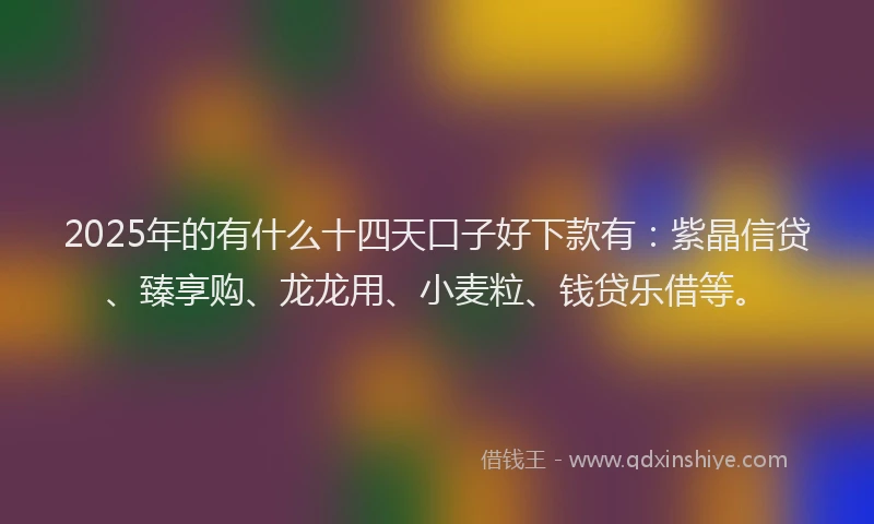 2025年的有什么十四天口子好下款有：紫晶信贷、臻享购、龙龙用、小麦粒、钱贷乐借等。