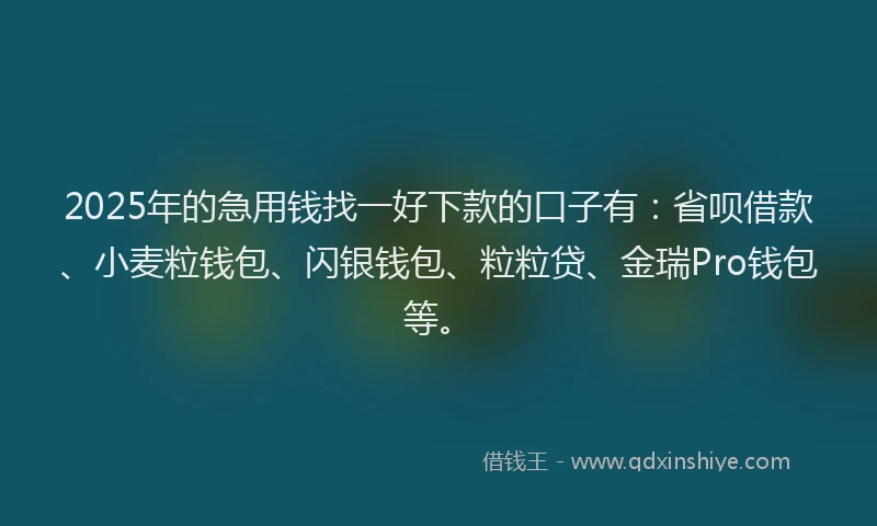 2025年的急用钱找一好下款的口子有：省呗借款、小麦粒钱包、闪银钱包、粒粒贷、金瑞Pro钱包等。